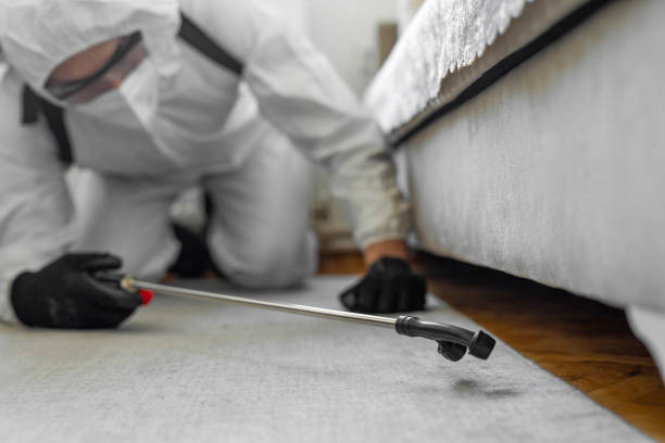 Professional Emergency Pest Control technician working in Trinity, FL