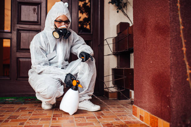 Reliable Emergency Pest Control contractor in Trinity, FL by Nex Pest Control
