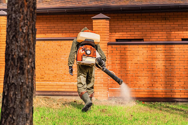 Top rated local Emergency Pest Control specialists in Trinity, FL
